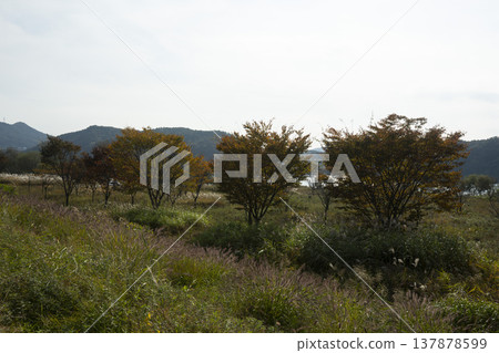 Han River bike path Han River bike path 137878599