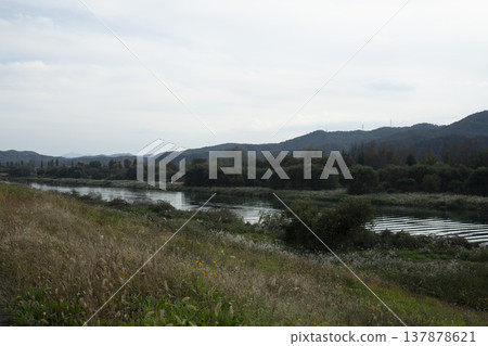 Han River bike path 137878621
