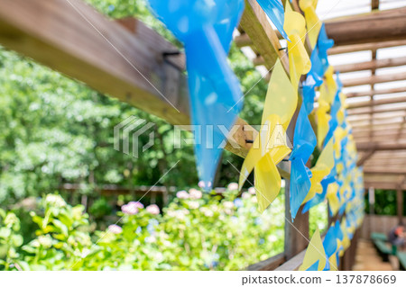 風車影像 137878669