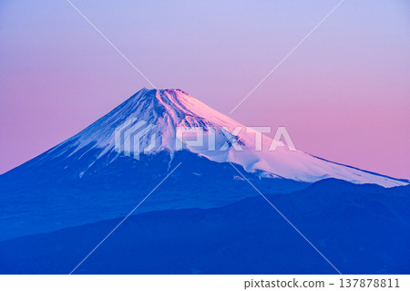 （靜岡縣）從達摩山高原眺望富士山的黎明景色。 137878811