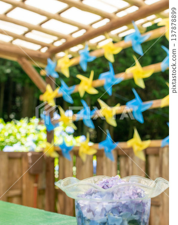 繡球花和風車漂浮在透明的玻璃碗中——這是初夏令人神清氣爽的景象。 137878899