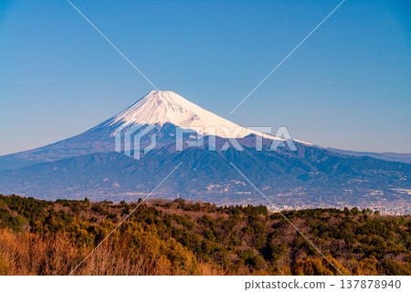 (Shizuoka Prefecture) View of Mt. Fuji from Darumayama Plateau in the early morning. (Shizuoka Prefecture) View of Mt. Fuji from Darumayama Plateau in the early morning. 137878940