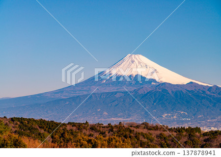 (靜岡縣)清晨從達摩山高原眺望富士山。 (靜岡縣)清晨從達摩山高原眺望富士山。 137878941