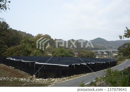 Han River bike path 137879041