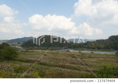 Han River bike path 137879404