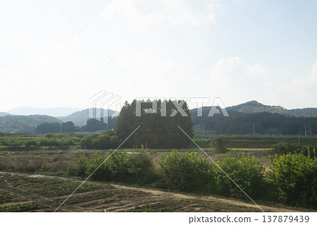 Han River bike path 137879439