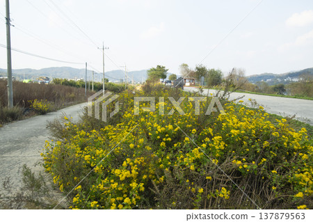 Han River bike path Han River bike path 137879563