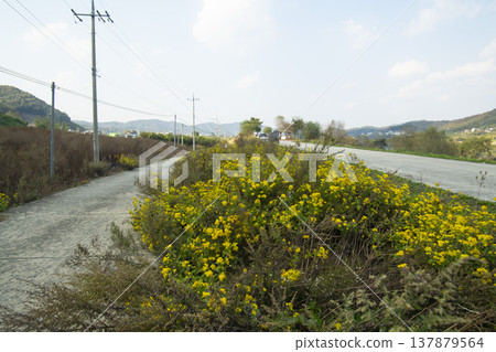 Han River bike path Han River bike path 137879564