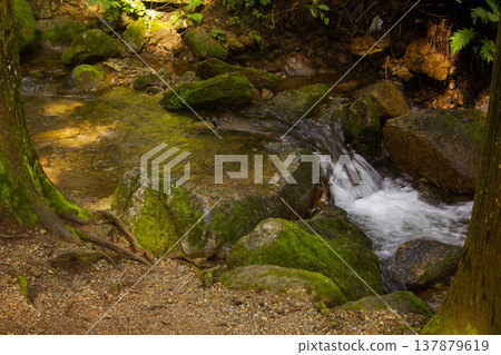 It is a stream in the mountains. It is a stream in the mountains. 137879619
