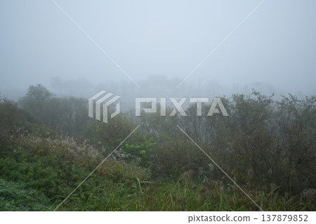 Han River bike path 137879852