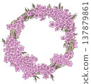 Moss phlox wreath materials 137879861