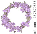 Moss phlox wreath materials 137879863
