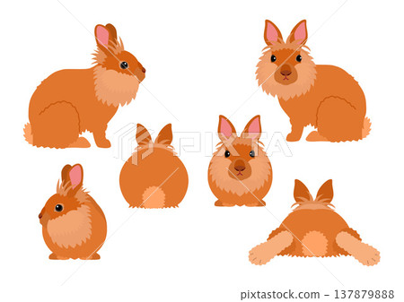 Lionhead set Lionhead set 137879888