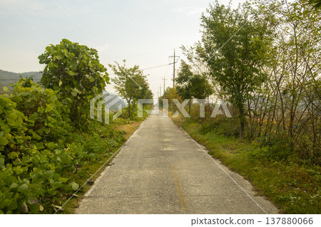 Han River bike path Han River bike path 137880066