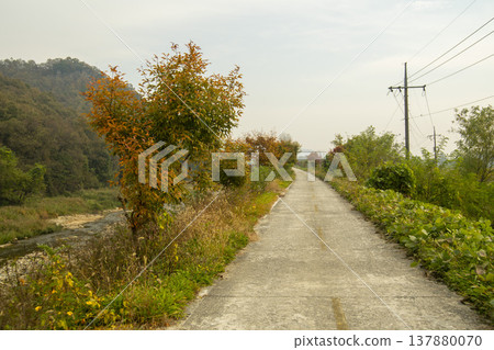 Han River bike path 137880070