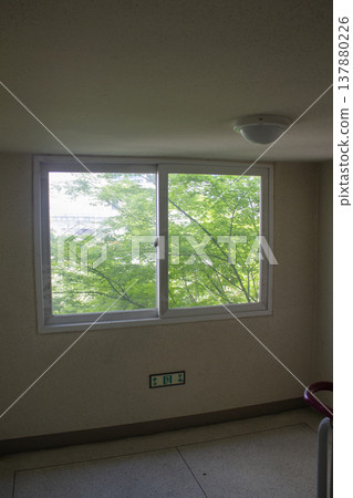 Window 137880226