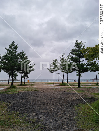 beach beach 137880237