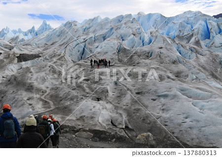 Peritomoleno 137880313