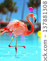 Vibrant flamingo in shallow turquoise pool with tropical party balloons 137881308
