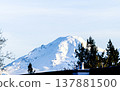 Snow covered peak of Mount Baker 137881500