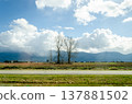 View of Canada Countryside, Fraser Valley, BC 137881502