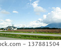 View of Canada Countryside, Fraser Valley, BC 137881504