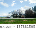 View of Canada Countryside, Fraser Valley, BC 137881505