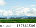 View of Canada Countryside, Fraser Valley, BC 137881506