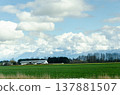 View of Canada Countryside, Fraser Valley, BC 137881507