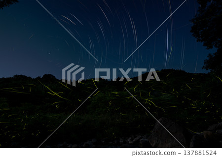 Mie Prefecture: A summer scene with starry skies and dancing fireflies. Mie Prefecture: A summer scene with starry skies and dancing fireflies. 137881524