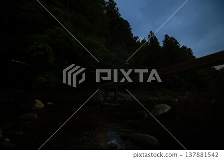 三重縣：螢火蟲翩翩起舞的景象－夏日風光 137881542