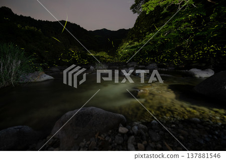 三重縣：螢火蟲翩翩起舞的景象－夏日風光 137881546