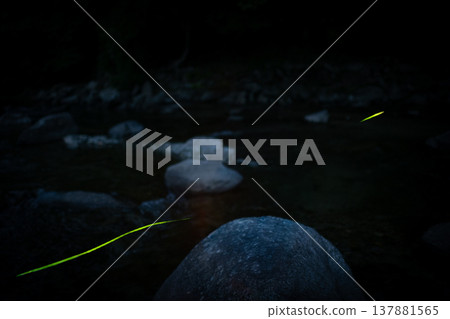 三重縣：螢火蟲翩翩起舞的景象－夏日風光 137881565