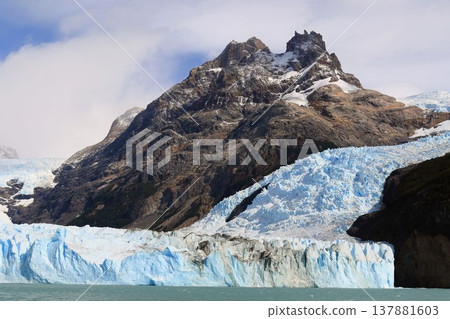 Spegazzini 137881603