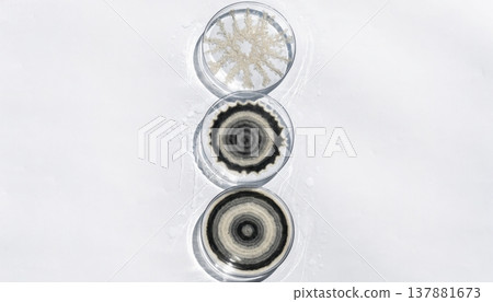 Three petri dishes with distinct circular patterns on a white background Three petri dishes with distinct circular patterns on a white background 137881673