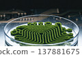 Vibrant green algae cultured into a circuit board pattern in a laboratory petri dish 137881675