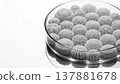 A clear glass dish filled with small intricately patterned pastries on a white background 137881678