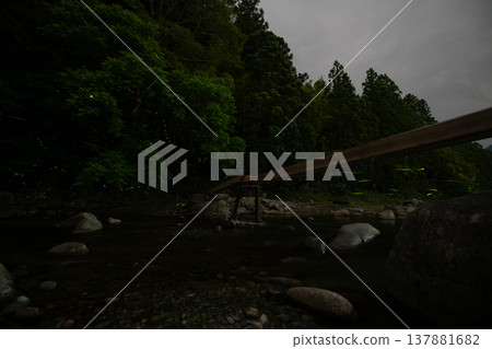 Mie Prefecture: Scenes of fireflies dancing - Summer image Mie Prefecture: Scenes of fireflies dancing - Summer image 137881682