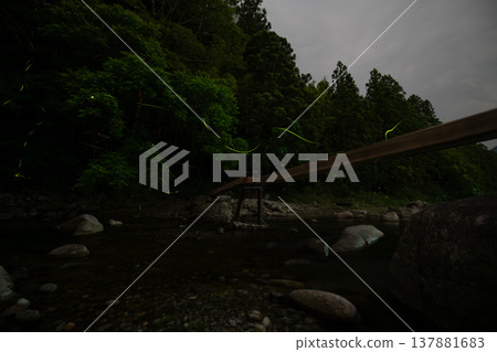 Mie Prefecture: Scenes of fireflies dancing - Summer image 137881683