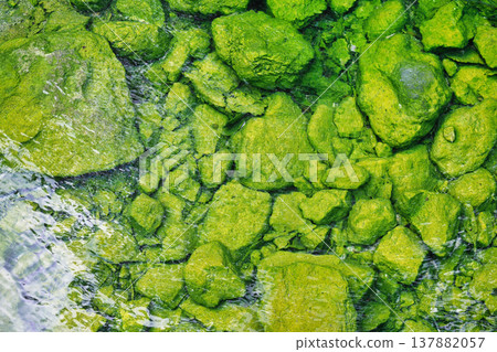Kusatsu Onsen Nishinokawara Park (Kusatsu Town, Agatsuma District, Gunma Prefecture) 137882057