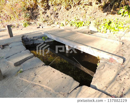哲學館公園:禦天沼池與原子橋 哲學館公園:禦天沼池與原子橋 137882229