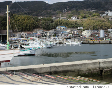 Higashiizu Town, Shizuoka Prefecture! Inatori Fishing Port and fishing boats 137883325
