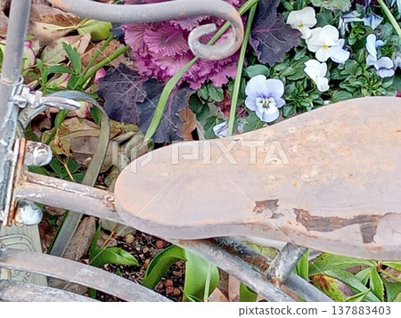 Bicycle sculpture and flowers 137883403