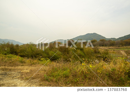 Han River bike path Han River bike path 137883768