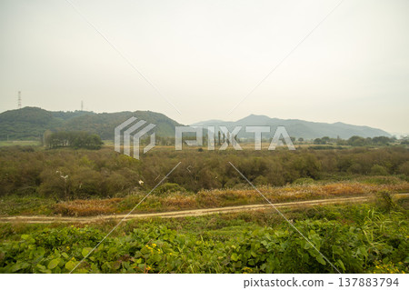 Han River bike path Han River bike path 137883794