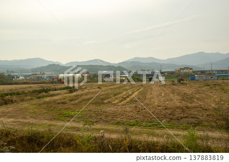 Han River bike path Han River bike path 137883819