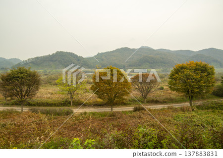 Han River bike path 137883831