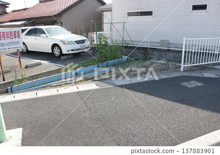 一塊只有貓咪額頭大小的田地 137883901