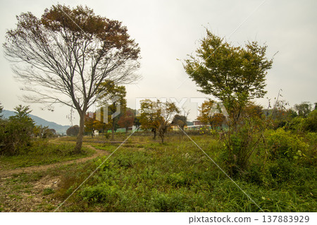 Han River bike path Han River bike path 137883929