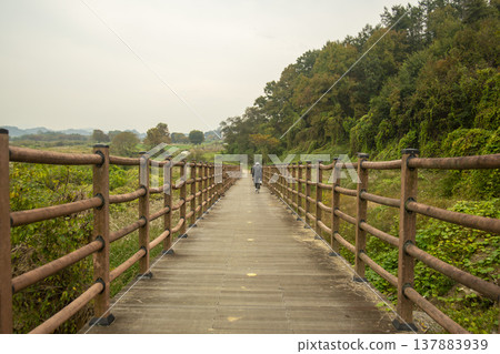 Han River bike path Han River bike path 137883939